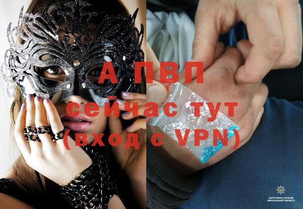 спиды Зеленокумск