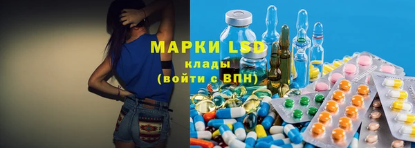 стафф Зерноград