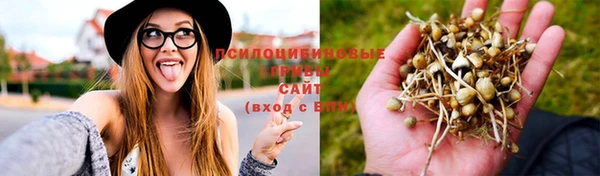 бутират Зеленодольск