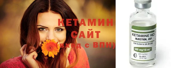 стафф Зерноград