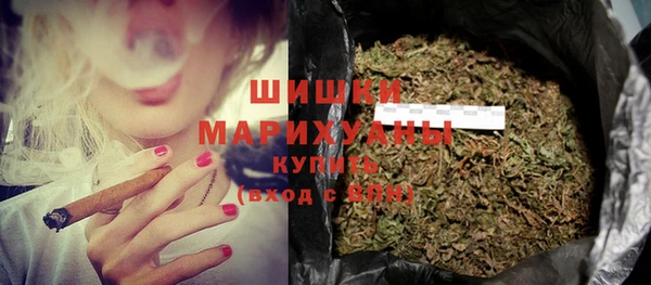 стафф Зерноград