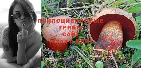 спиды Зеленокумск